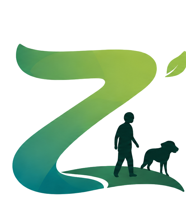 Zaruê